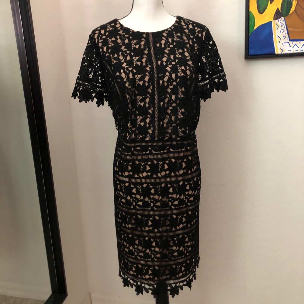 RSVP Talbots Dress 14WP Black Lace